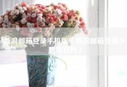 新浪邮箱登录手机版（新浪邮箱登录手机版官网）