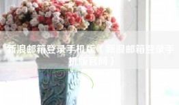 新浪邮箱登录手机版（新浪邮箱登录手机版官网）