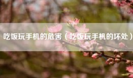 吃饭玩手机的危害（吃饭玩手机的坏处）