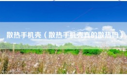 散热手机壳（散热手机壳真的散热吗）