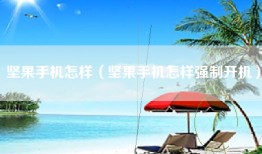 坚果手机怎样（坚果手机怎样强制开机）