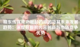 精东传媒成功崛起的原因及其未来发展趋势：深度分析其内容创新与市场竞争优势