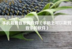 手机裁剪音乐的软件（手机上可以裁剪音乐的软件）