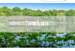 计算与算计