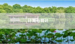 计算与算计