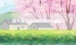 国外黑心助孕机构哪个最好？