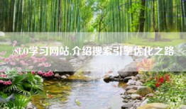 SEO学习网站,介绍搜索引擎优化之路