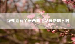 你知道有个东西叫《站长帮助》吗