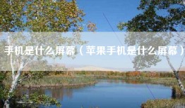 手机是什么屏幕（苹果手机是什么屏幕）