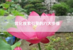 优化搜索引擎的六大步骤