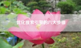 优化搜索引擎的六大步骤