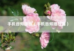 手机音频播放（手机音频播放器）