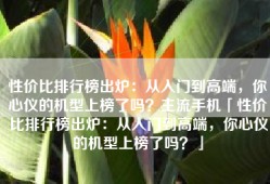 性价比排行榜出炉：从入门到高端，你心仪的机型上榜了吗？主流手机「性价比排行榜出炉：从入门到高端，你心仪的机型上榜了吗？」