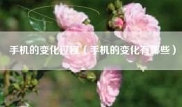 手机的变化过程（手机的变化有哪些）