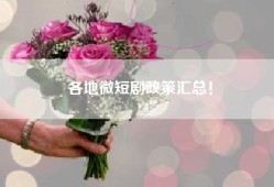 各地微短剧政策汇总！