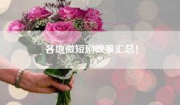 各地微短剧政策汇总！