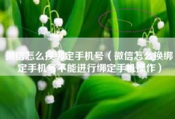 微信怎么换绑定手机号（微信怎么换绑定手机号不能进行绑定手机操作）