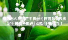 微信怎么换绑定手机号（微信怎么换绑定手机号不能进行绑定手机操作）