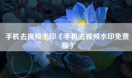 手机去视频水印（手机去视频水印免费版）
