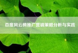 百度风云榜推广营销策略分析与实践