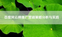 百度风云榜推广营销策略分析与实践