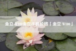 金立 W100金立手机价格「金立 W100」