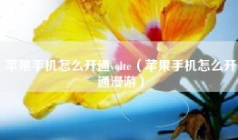 苹果手机怎么开通volte（苹果手机怎么开通漫游）