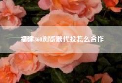 福建360浏览器代投怎么合作