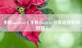 手机onedrive（手机Onedrive分享链接如何转存）