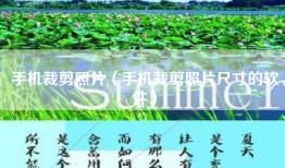 手机裁剪照片（手机裁剪照片尺寸的软件）