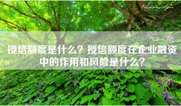授信额度是什么？授信额度在企业融资中的作用和风险是什么？