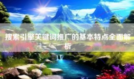 搜索引擎关键词推广的基本特点全面解析