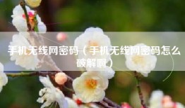 手机无线网密码（手机无线网密码怎么破解啊）