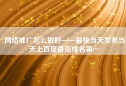 网络推广怎么做好——最快当天发布当天上百度首页排名第一