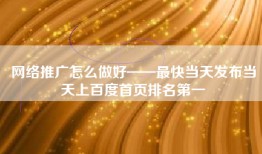 网络推广怎么做好——最快当天发布当天上百度首页排名第一
