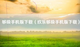 够级手机版下载（欢乐够级手机版下载）