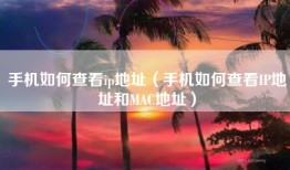 手机如何查看ip地址（手机如何查看IP地址和MAC地址）