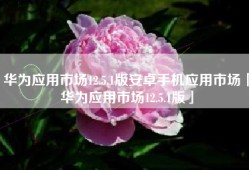华为应用市场12.5.1版安卓手机应用市场「华为应用市场12.5.1版」