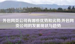 外包网页公司有哪些优势和劣势,外包网页公司的发展现状与趋势