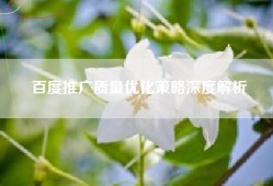 百度推广质量优化策略深度解析