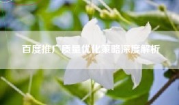 百度推广质量优化策略深度解析