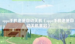 oppo手机老是自动关机（oppo手机老是自动关机重启）