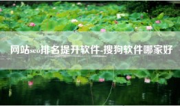 网站seo排名提升软件-搜狗软件哪家好