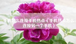 手机怎么连接手机热点（手机热点怎么连接另一个手机）