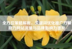 全方位策略解析，关键词优化推广方案助力网站流量与品牌影响力提升