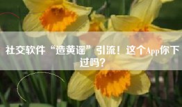 社交软件“造黄谣”引流！这个App你下过吗？