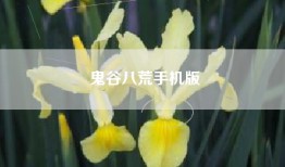 鬼谷八荒手机版