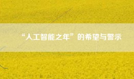“人工智能之年”的希望与警示