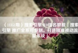 （11351期）搜索引擎SEO排名教程「搜索引擎 推广全系可复制，打造精准被动流量系统」