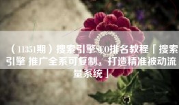 （11351期）搜索引擎SEO排名教程「搜索引擎 推广全系可复制，打造精准被动流量系统」
